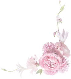 Floral arrangement with pink roses, daisies, and leaves forming a decorative corner.